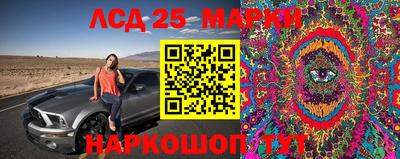 дживик Бердск