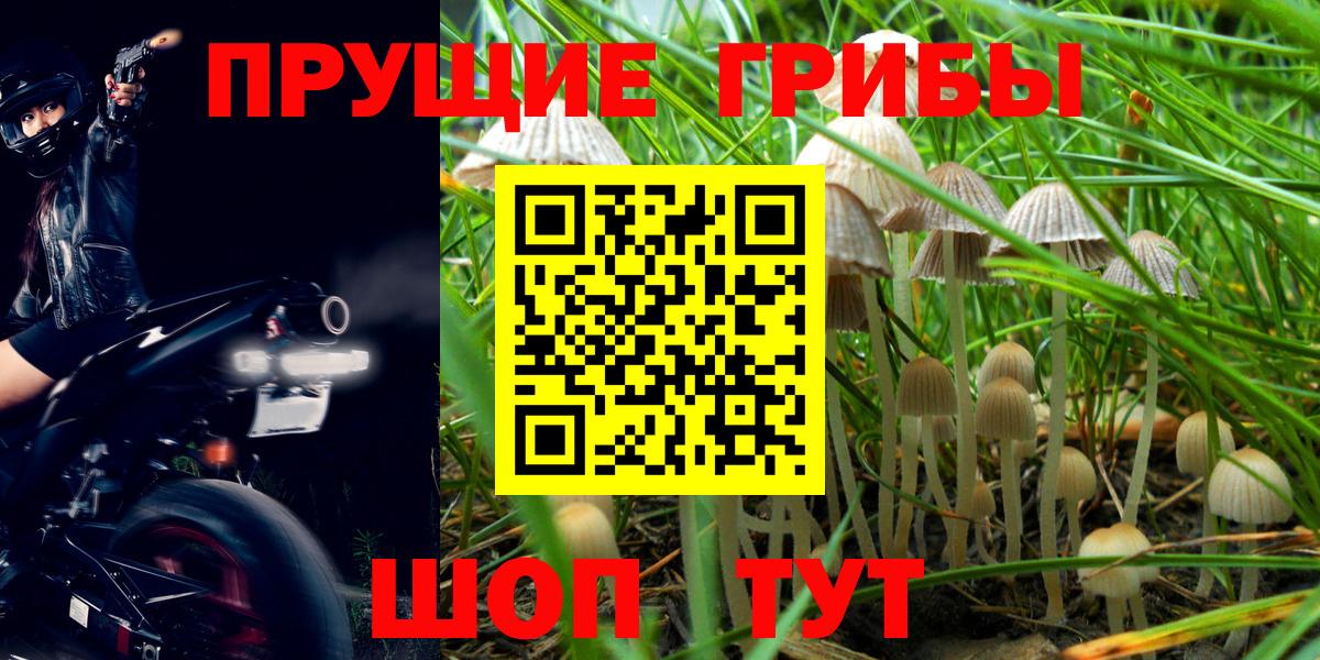Волжск  Псилоцибиновые грибы мицелий  Вход с VPN 
